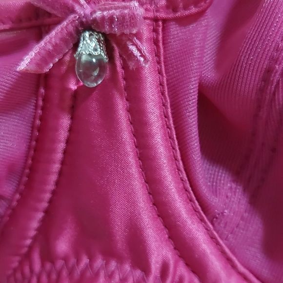 Panache lightly lined burgundy bra - Picture 3 of 6